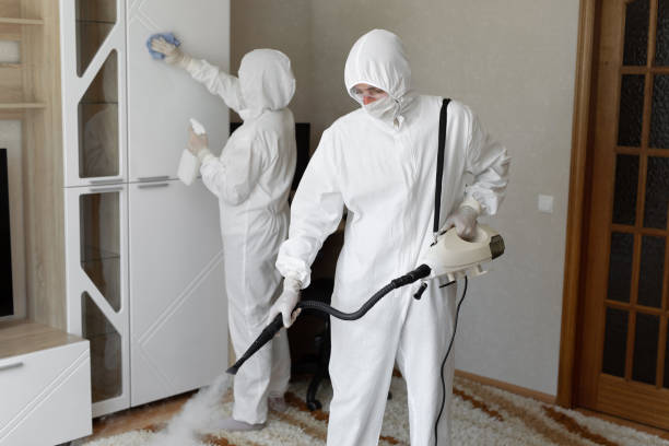 Best HVAC Mold Remediation in Stanton, MI