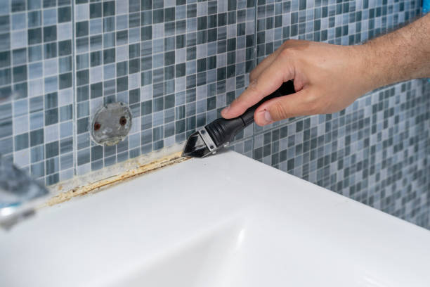 Best Mold Testing and Inspection Services in Stanton, MI